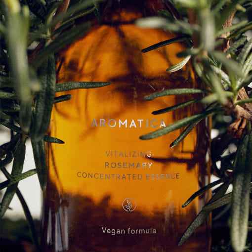 AROMATICA Vitalizing Rosemary Concentrated Essence 100ml - Skynkorea