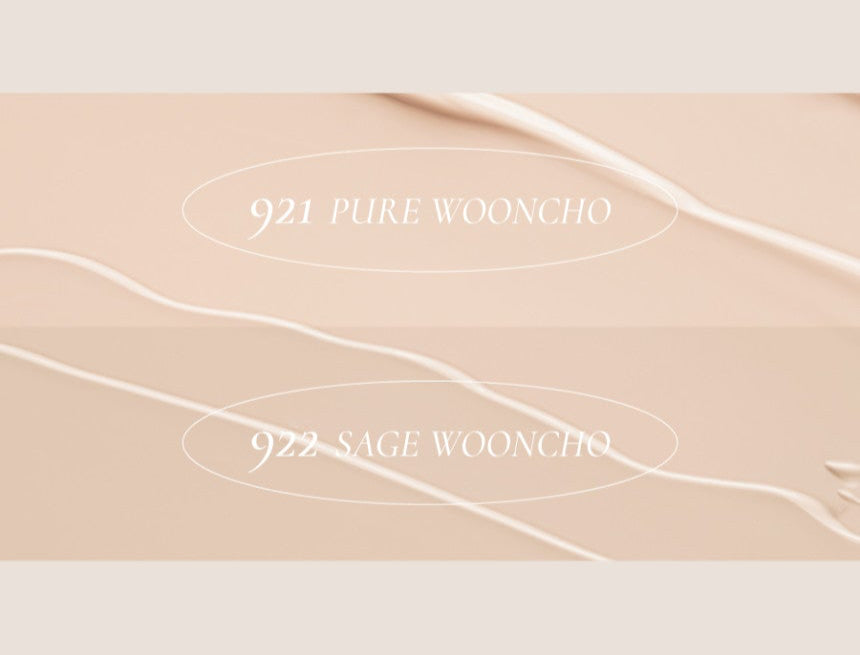 Dinto Wooncho Blur-Matte Foundation 25ml - Skynkorea