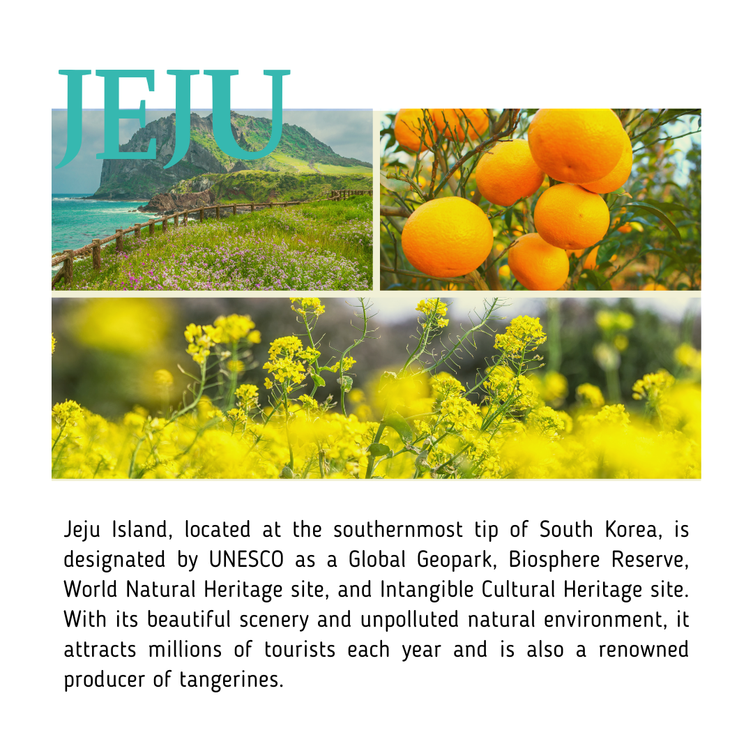 BeaumAnt Jeju Green Tangerine Cleansing Water 500ml - Skynkorea