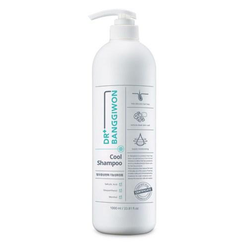 Dr.BANGGIWON COOL SHAMPOO 1000ml ANTI HAIR LOSS - Skynkorea