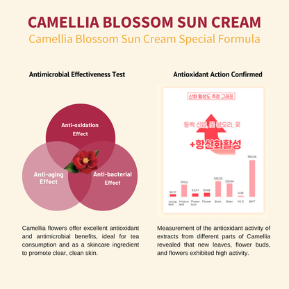 [JEJU INDI] Blossom Sun Cream 50ml - Skynkorea