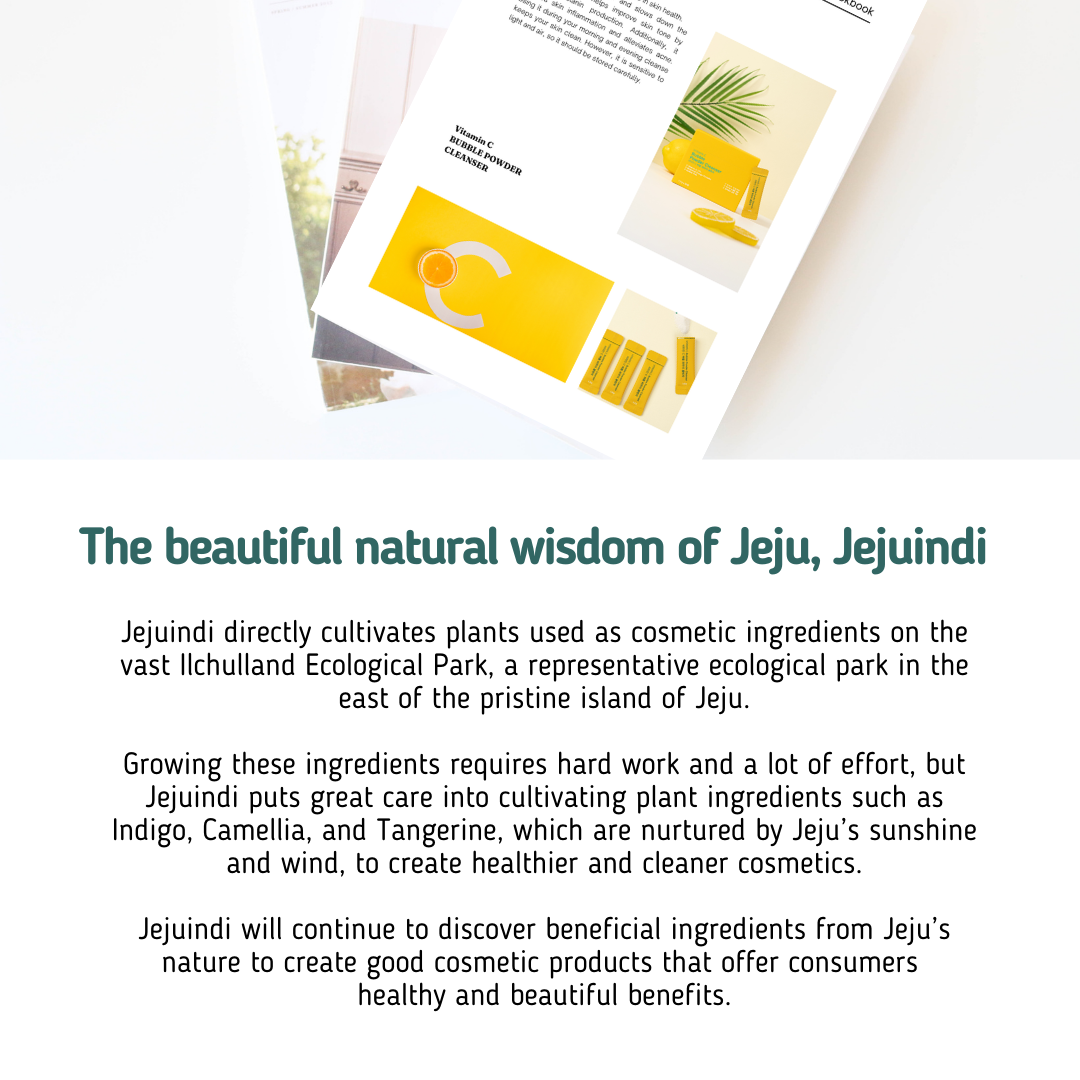 [JEJU INDI] Vitamin C Bubble Powder Cleanser 30ea - Skynkorea