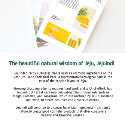 [JEJU INDI] Vitamin C Bubble Powder Cleanser 30ea - Skynkorea