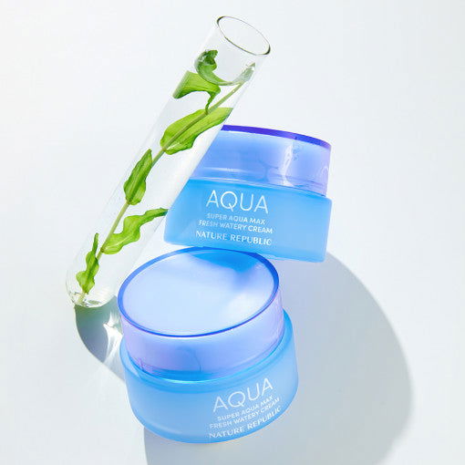 NATURE REPUBLIC Super Aqua Max Fresh Watery Cream 80ml - Skynkorea