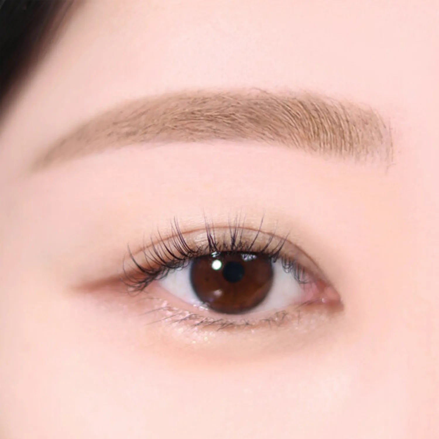 espoir The Brow Color Fixing Cara 3g - Skynkorea