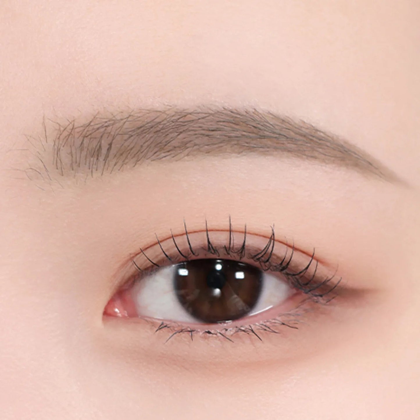 espoir The Brow Color Fixing Cara 3g - Skynkorea