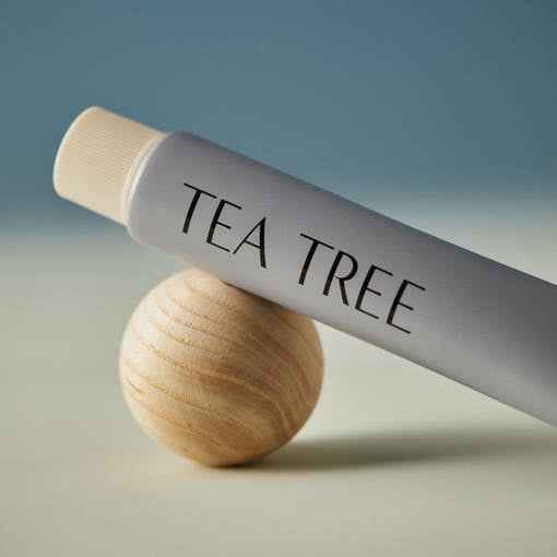 AROMATICA Tea Tree Balancing Toothpaste 100ml - Skynkorea