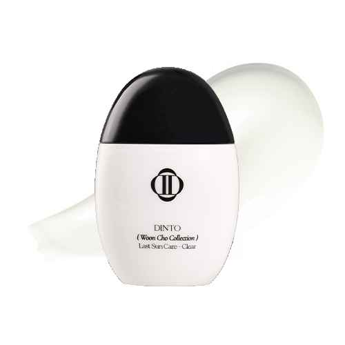 Dinto [Wooncho Collection] Last Sun Care SPF 50+PA++++ 50ml - Skynkorea